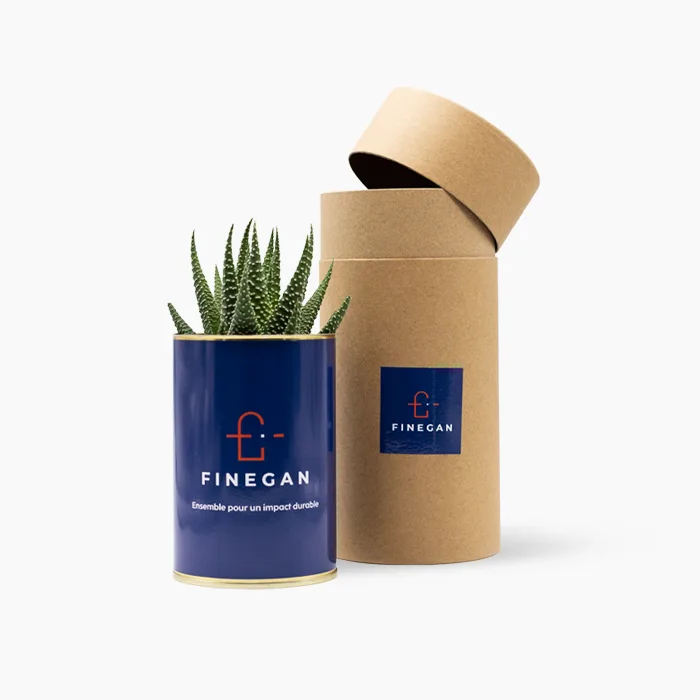 Plante grasse personnalisée en impression numérique pour Finegan